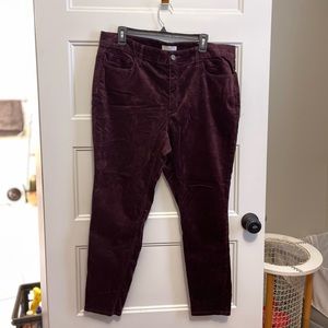 Loft Plus Velvet Skinny Jeans - Curvy 16 - burgundy